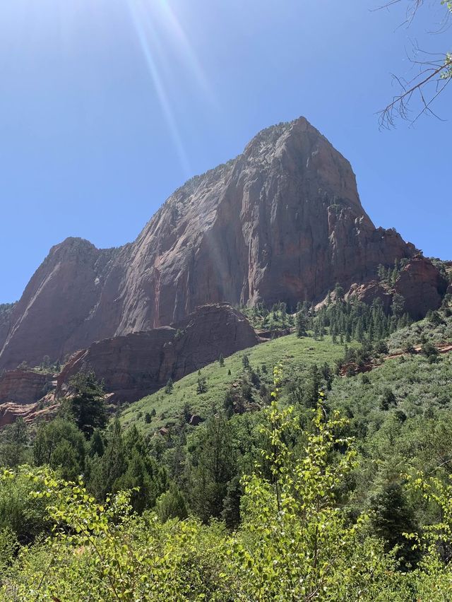 Stunning Beauty of Zion National Park 