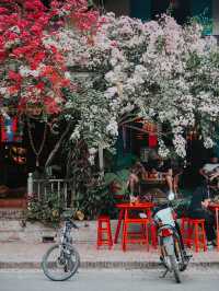 There is only one reason to go to Luang Prabang: collecting the blooming flowers on the streets.