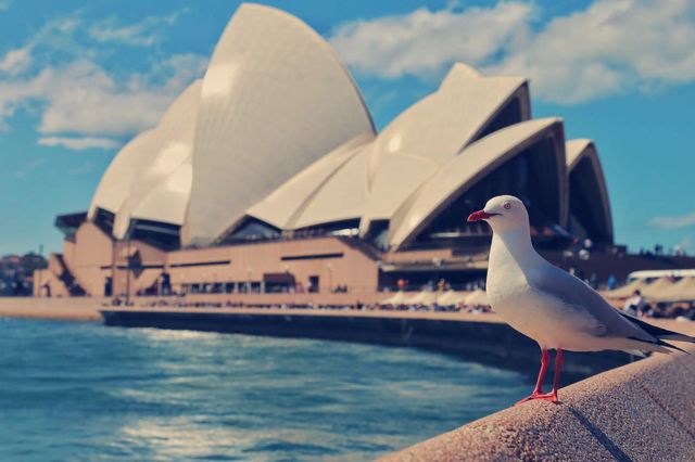 Explore Sydney.