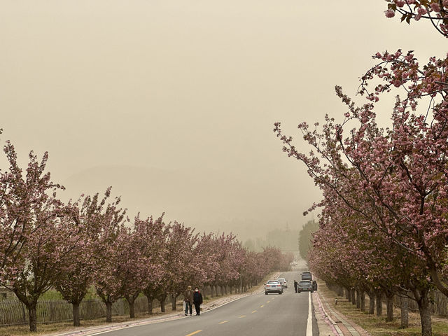 Sishui Leisure Valley Art Town