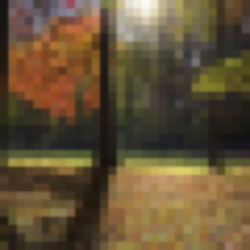 FitnessFreakExtraordinaire