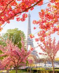 Blossoming Beauty in Paris - A Captivating Weekend!