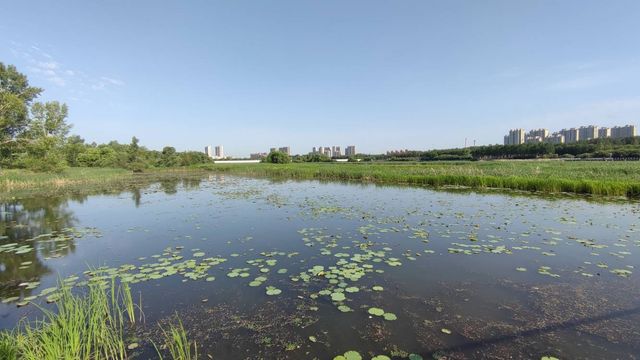 哈爾濱文化中心濕地公園