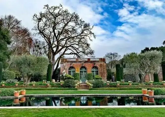 ฟิลโลลีมันชั่น