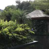 Conghua - The Home of Relaxation 