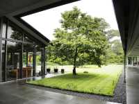 🎨 箱根アートツアー：地元の美術館や伝統工芸展を探索！🖼️