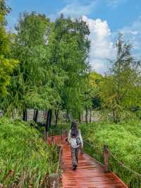 總得來一趟璧山吧！公園美食隨你挑！