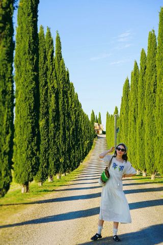 Tuscany | The cypress road under the bright sun