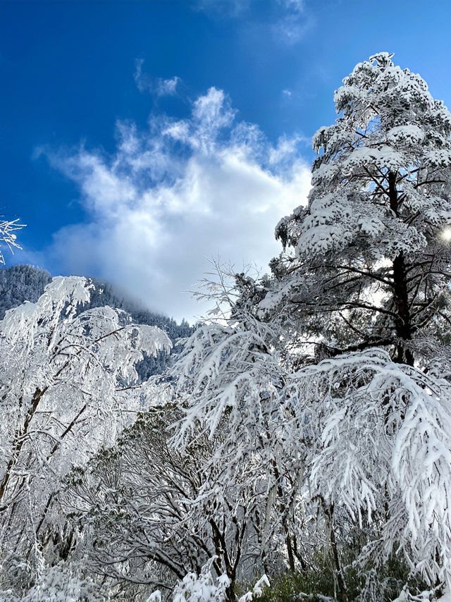 成都出發三小時看雪｜一起去雪山上喝咖啡吧|||