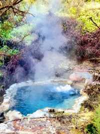 新西蘭必打卡地熱溫泉公園Rotorua