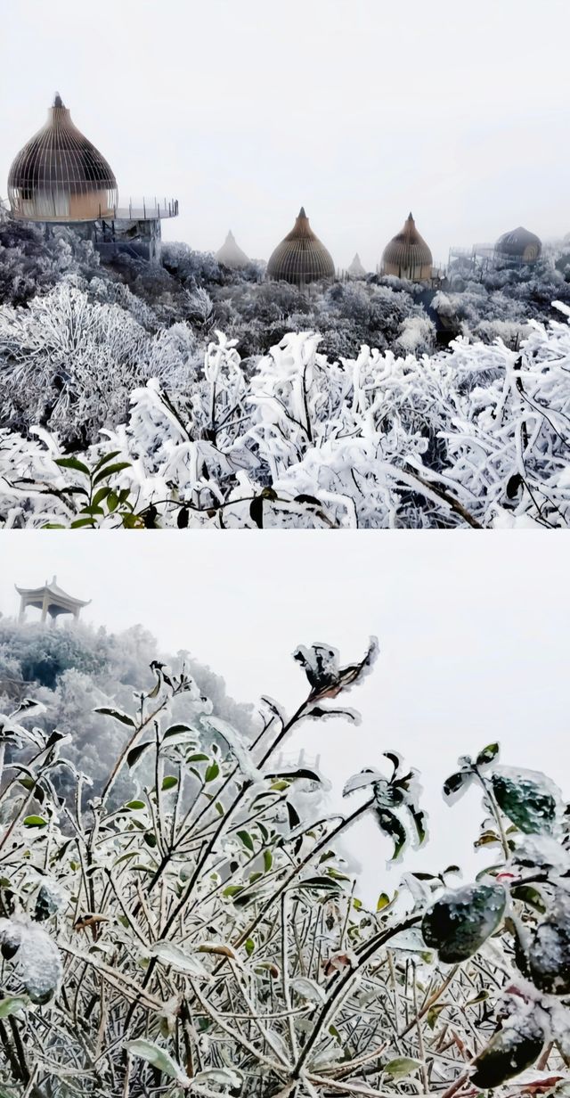 郴州觀夏民宿·回龍山·如此美景