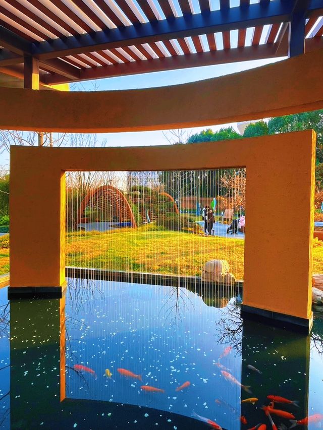 觀花賞景，品味根親文化：合肥園博園鄭州園
