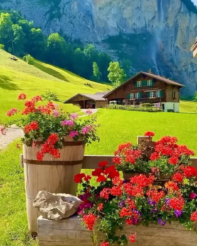 🏠✨ Unveiling the Charm: Wooden Houses in the Shadow of the Jungfrau Peaks 🏔️🇨🇭