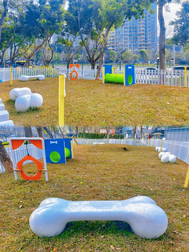 深圳免費溜娃|地鐵口出來即達，小娃娃們真愛