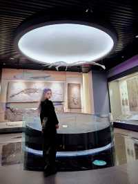 人生建議，離開貴陽前這個博物館一定要來