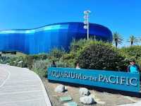 太平洋水族館 |  超治癒的海底世界