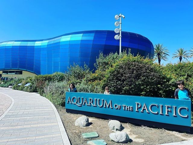 太平洋水族館 |  超治癒的海底世界