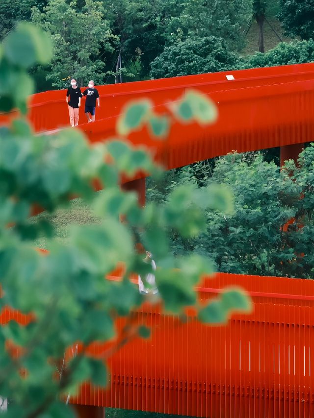 虹橋公園的遊玩攻略