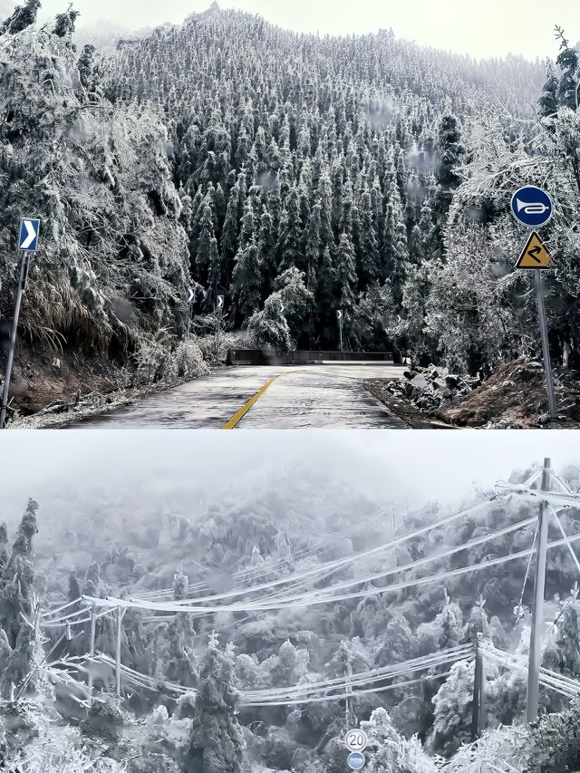 清遠·金子山｜廣東絕美冰掛