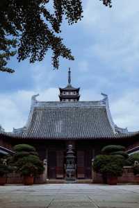 發現上海|真如寺真的好,就是鴿子shi太多咯