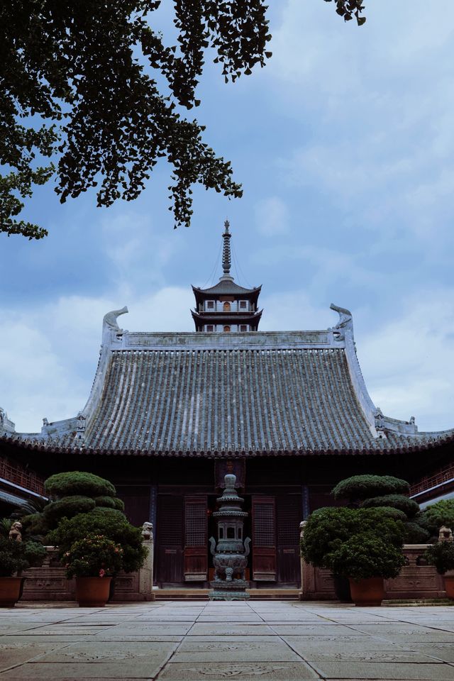 發現上海|真如寺真的好,就是鴿子shi太多咯 發現上海|真如寺真的好,就是鴿子shi太多咯