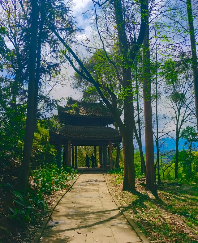 雨城雅安|爬天梯、遊古寺，一起森呼吸