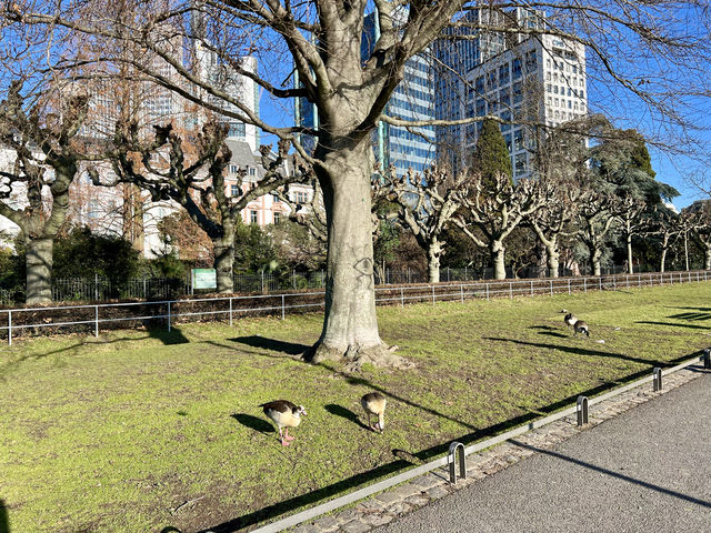 走法蘭，吃早餐