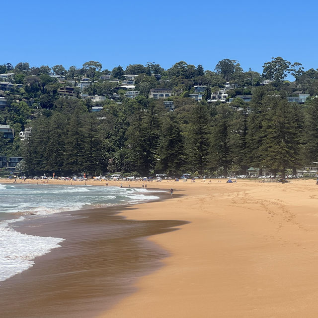 A Hidden Gem in Sydney 🏝️