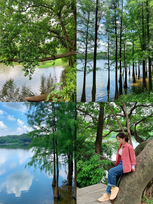 在網上跟風最成功的一次！藏著一個瀑布的寶藏公園