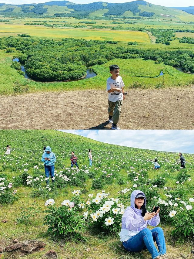 呼倫貝爾大草原親子遊攻略