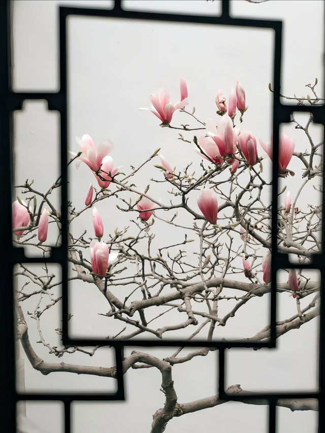 蘇州的一扇窗而已，至於美成這樣嗎