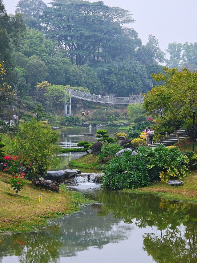 東莞春季賞花地圖