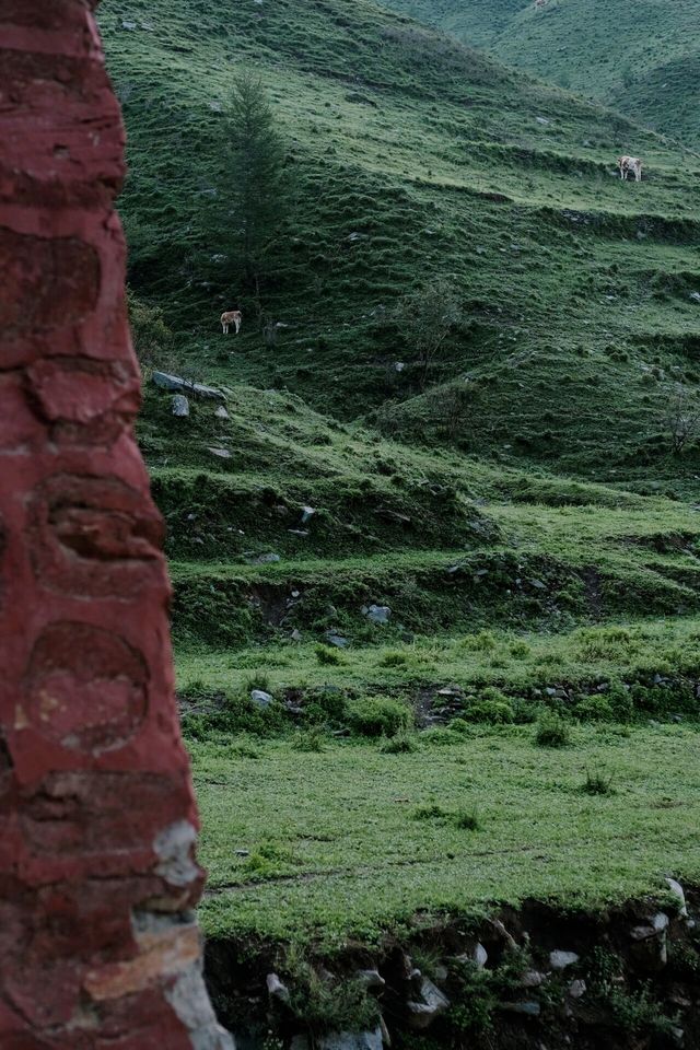 擁抱天地公一個人旅行沒有支架也能拍