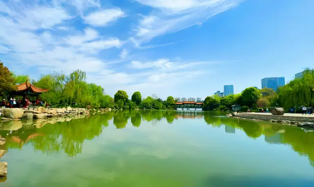 Cherry blossoms are coming in the spring of Kunming