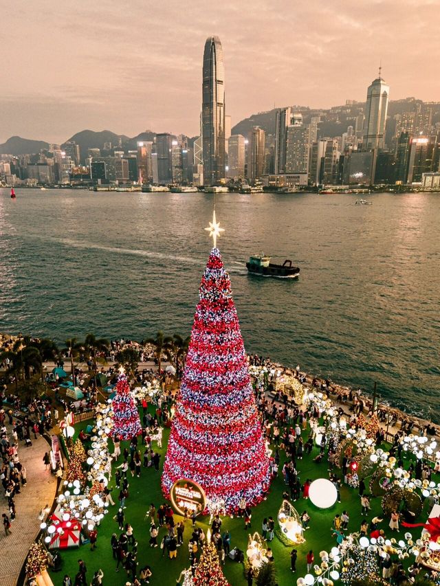 總要去香港看看海邊的聖誕吧！