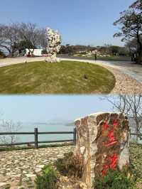 無錫太湖植物園璀璨登場，限時免費暢遊一週