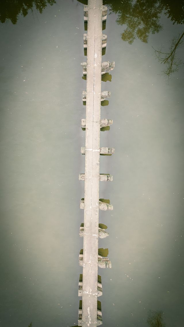 六百年的龍橋你見過沒？
