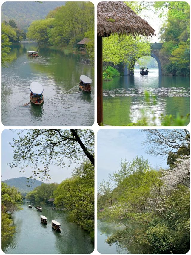 來杭州7年，最喜歡的西湖一日春遊路線