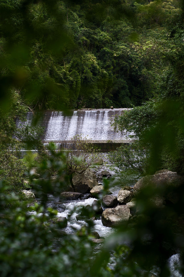 五指山熱帶雨林公園