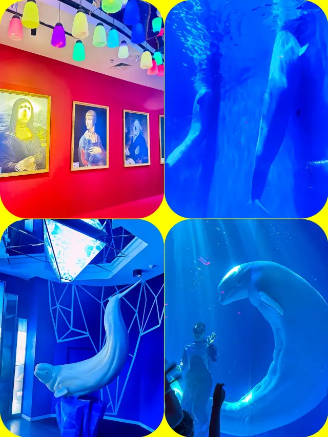 普及海洋知識，提高公眾環保意識