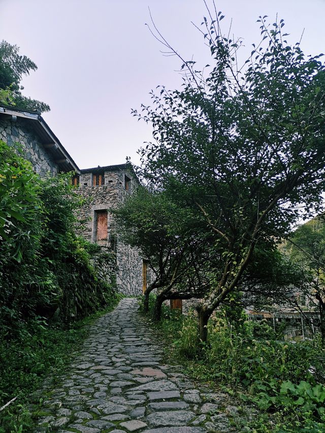 避開人潮湧涌～縉雲岩下村小住