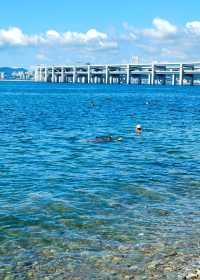 大連星海灣跨海大橋