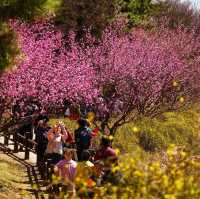 Floral Paradise in Beijing 🌸🌿