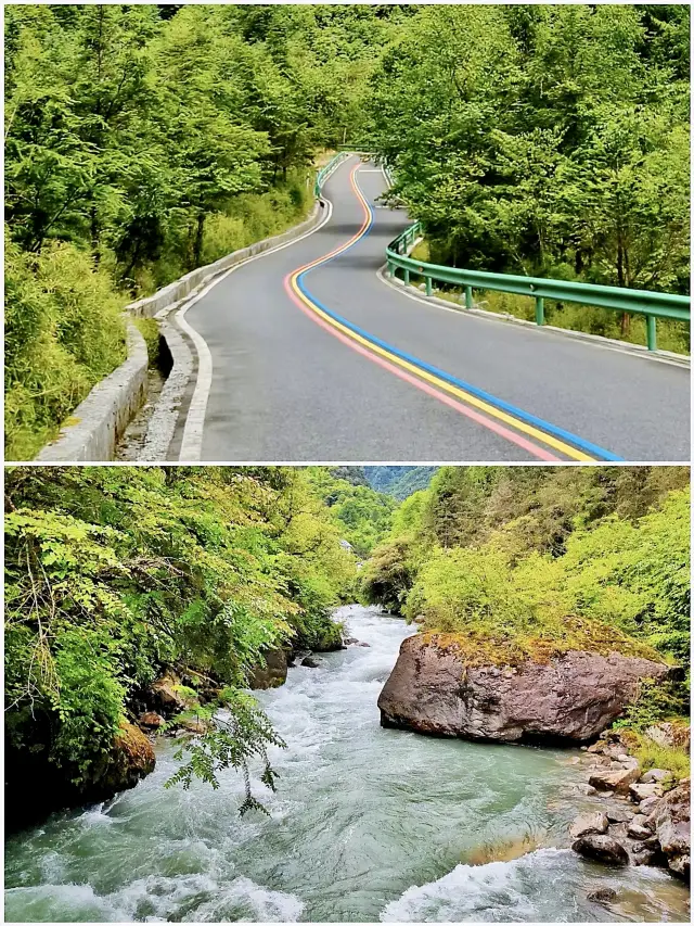 全球追秋｜川西自駕 - 四川雅安二郎山喇叭河