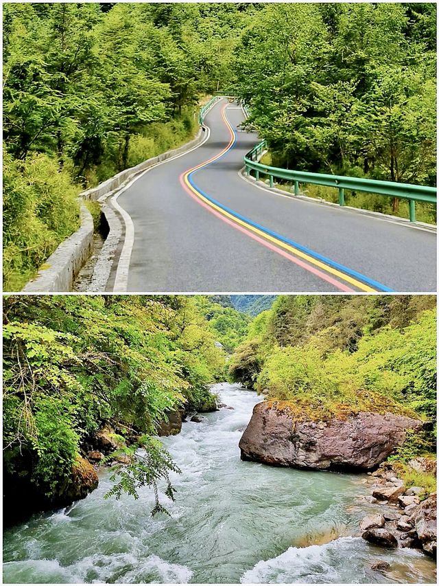 全球追秋｜川西自駕 - 四川雅安二郎山喇叭河