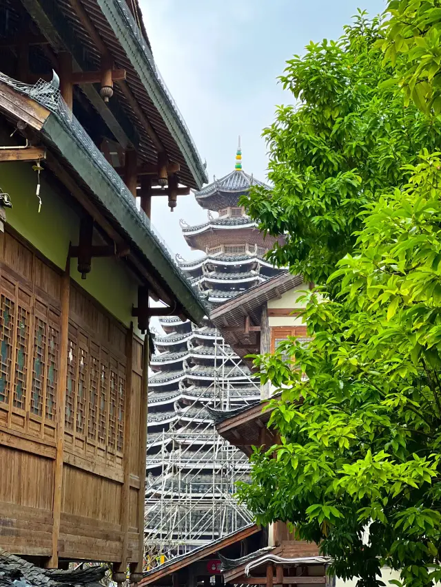 Nanning, Guangxi · Acacia Town