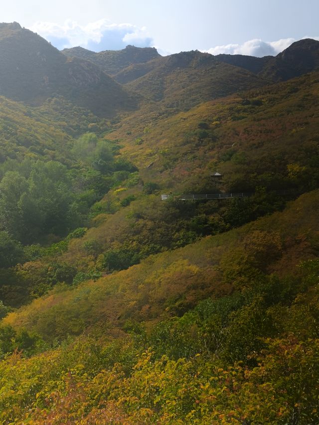 全球追秋|最美秋色大黑山