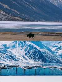 西藏藍冰季｜一定要去一次的來古冰川（附攻略）