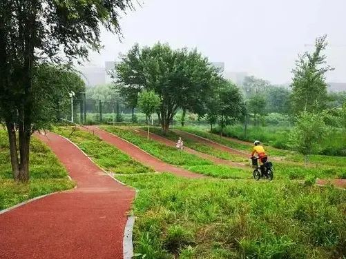 Yizhuang New Town Riverside Forest Park 🌿🦆