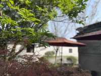 清新 安逸的歇馬橋村